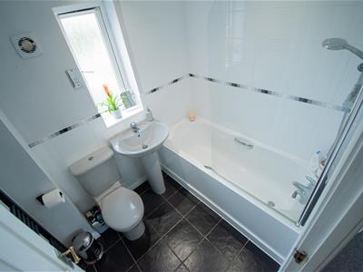 Picture 21